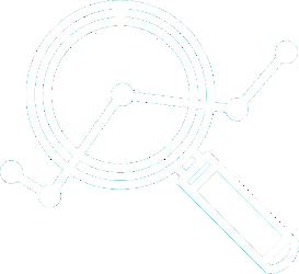 SEO Plan
